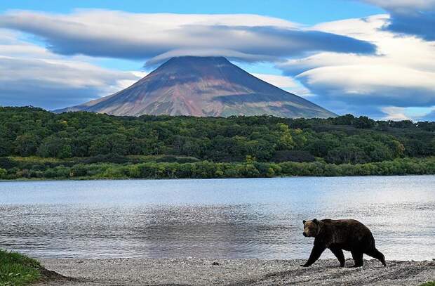 Жителей одного региона России пригласили в бесплатный экотур на Камчатку