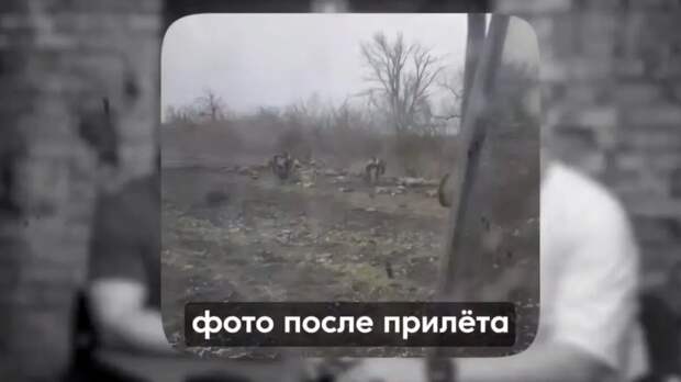 Скрин видео
