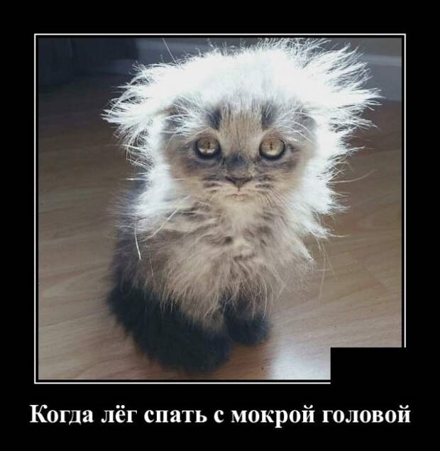 www.vsyako.net