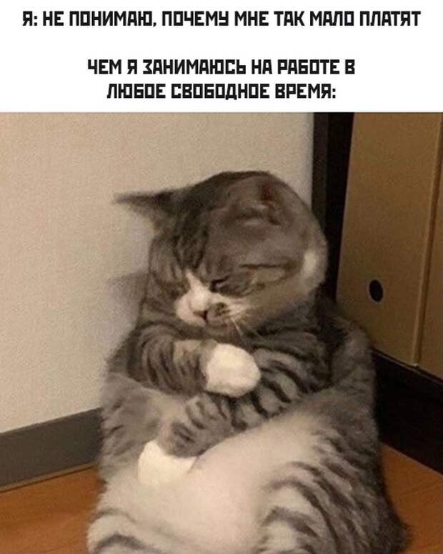 Смешные картинки 10 сентября 2021 года