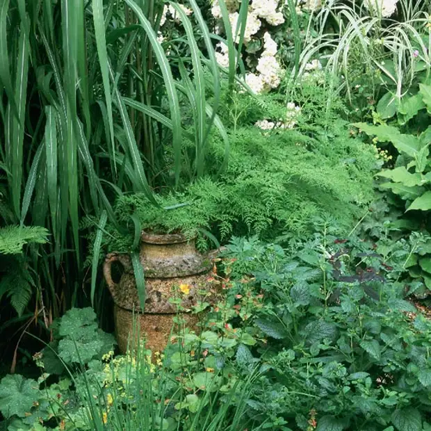 wild-garden-inspiration-secret-nook4.jpg