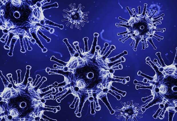 Медики выявили в Крыму 167 новых зараженных коронавирусом