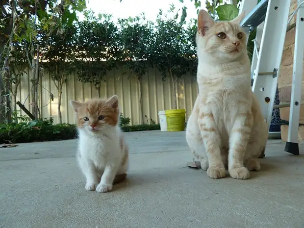 : 50      - 40 - BigPicture.ru