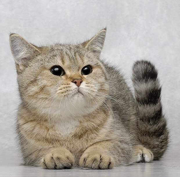 Давайте улыбаться вместе! :) (31повод)