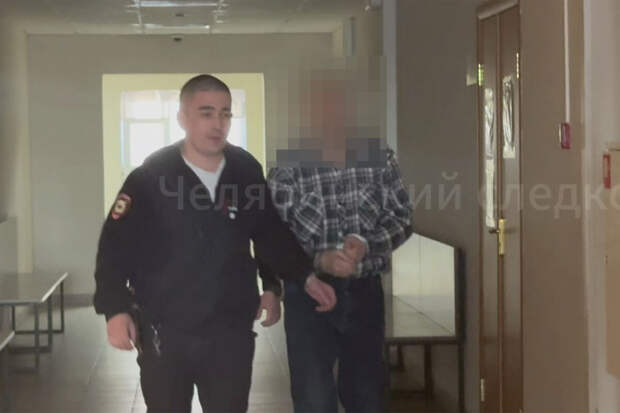 В Челябинске арестовали мужчину, который порезал сожительницу на улице