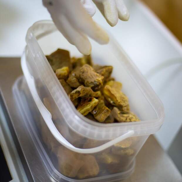 Янтарный комбинат Ростеха выставит на аукцион рекордное количество лотов