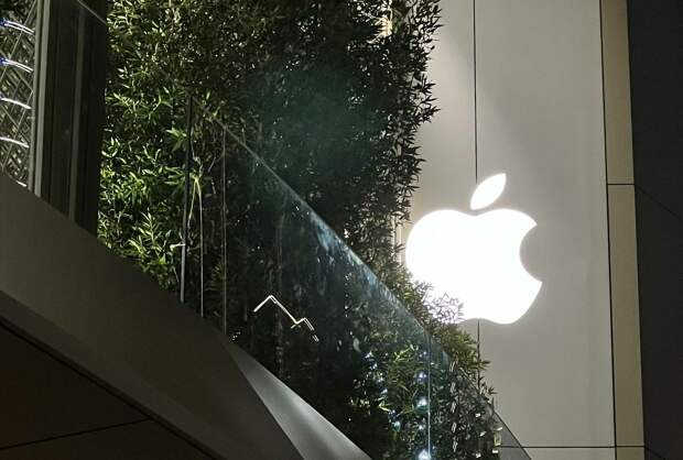 Юрист Хаминский: ушедшие компании продлевают товарные знаки для правовой охраны