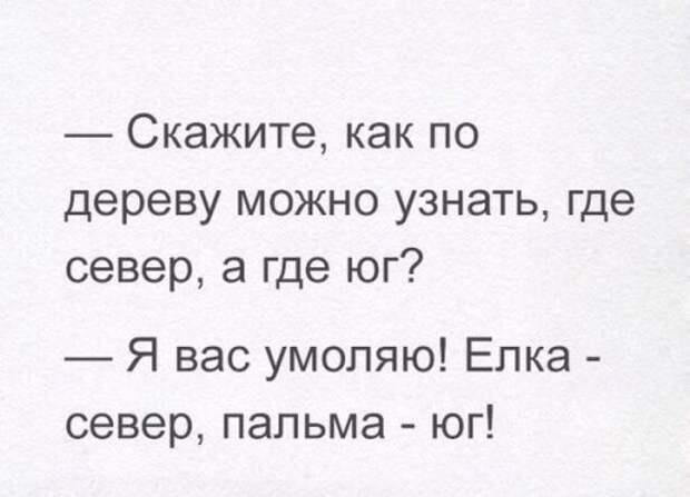 Новые анекдоты для вас (15 шт)
