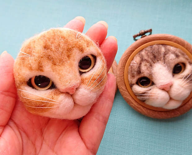 Кошачьи мордочки из шерсти, которые пытаются вылезти из рамки