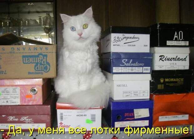 Мысли вслух :)