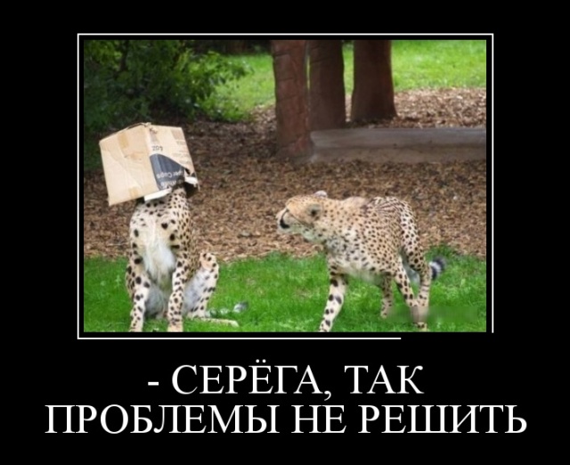 Демотиваторы (30 фото)