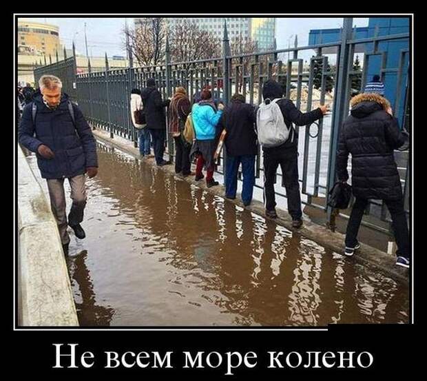Демотиваторы (30 фото)