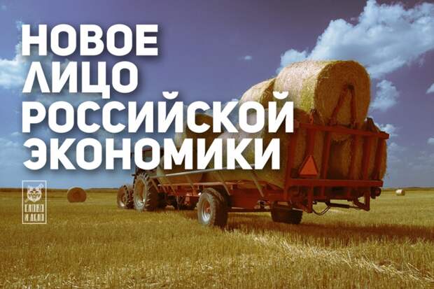 По самые санкции. Новое лицо российской экономики