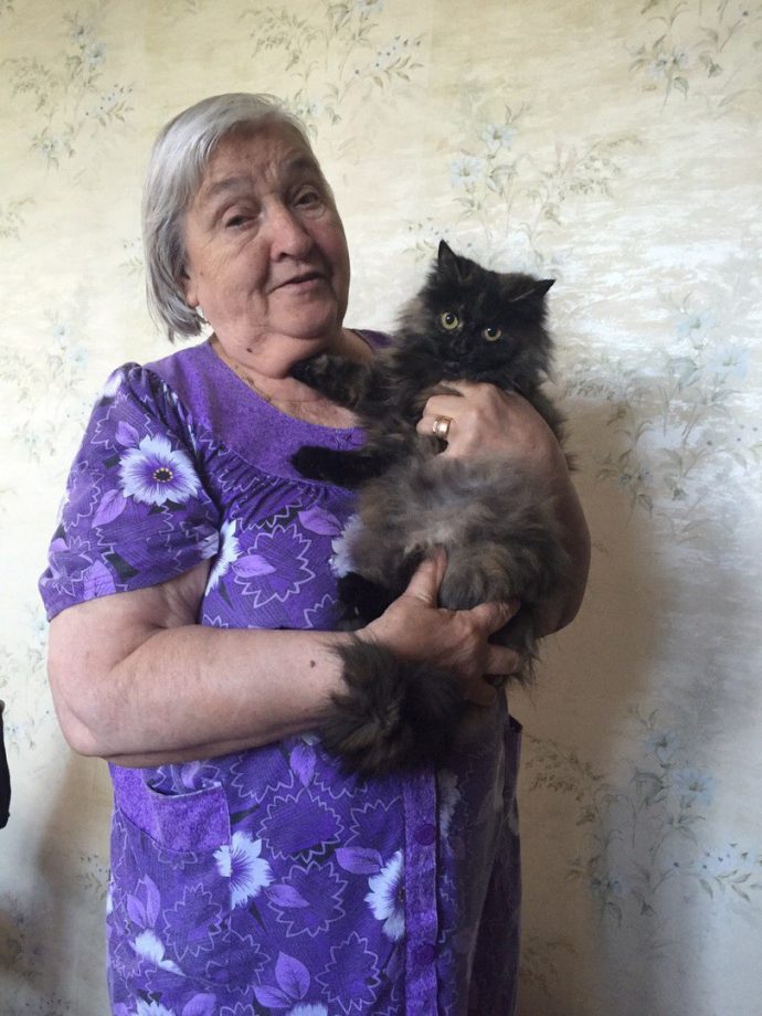 Без кота и жизнь не та
