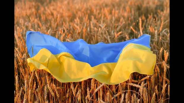 Киев планирует ужесточить меры против русского языка в Украине