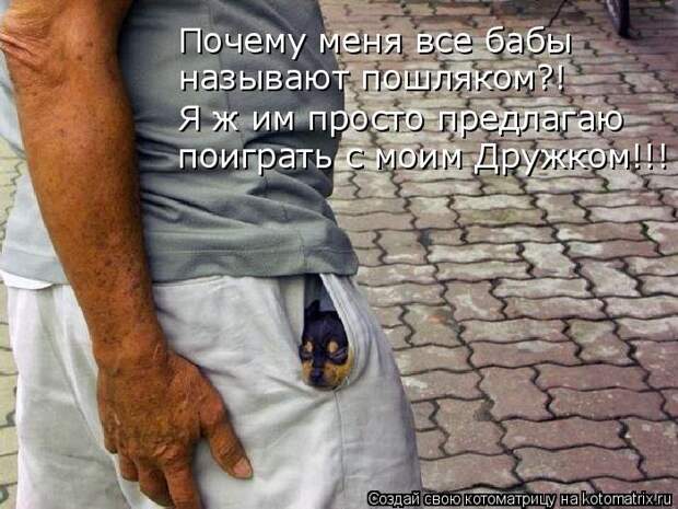 Лучшие котоматрицы недели (50 фото)