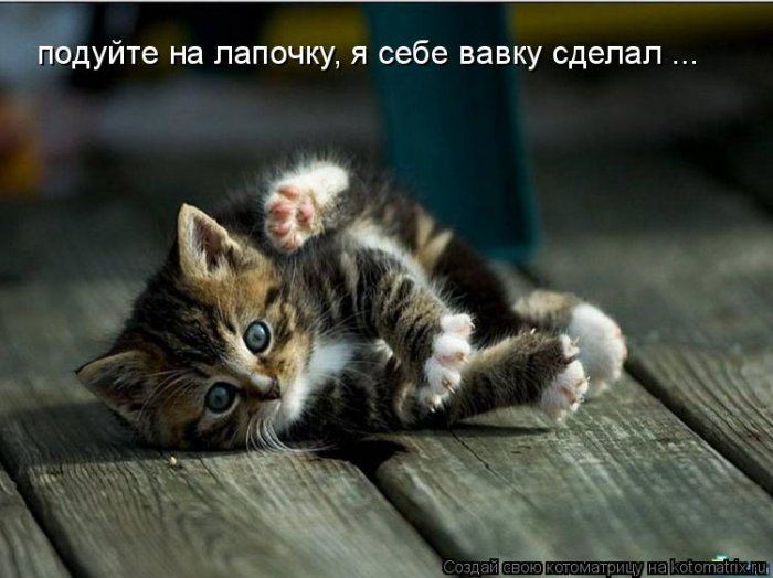 Мысли вслух :)