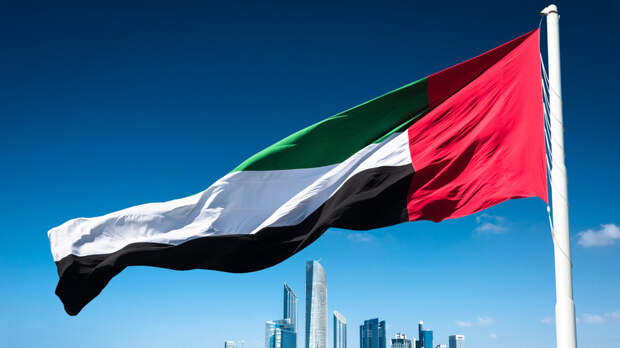 Ради назвал недовольство системой квот одной из причин выхода ОАЭ из ОПЕК