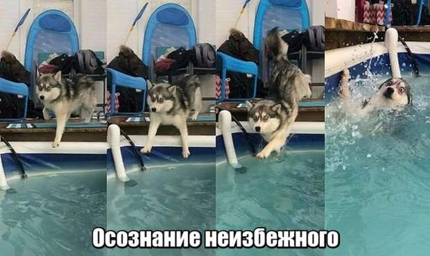 Подборка картинок. Дневной выпуск (30 фото)