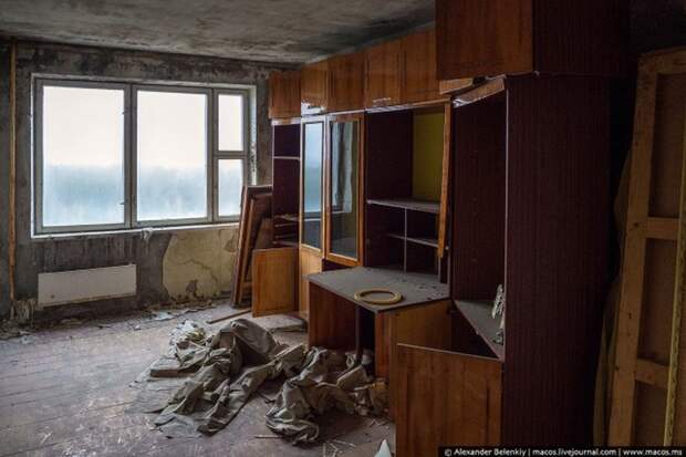 Мёртвый город Припять. Джунгли Чернобыля Мёртвый город Припять. Джунгли Чернобыля