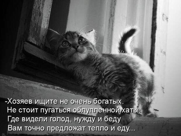 Мысли вслух :)