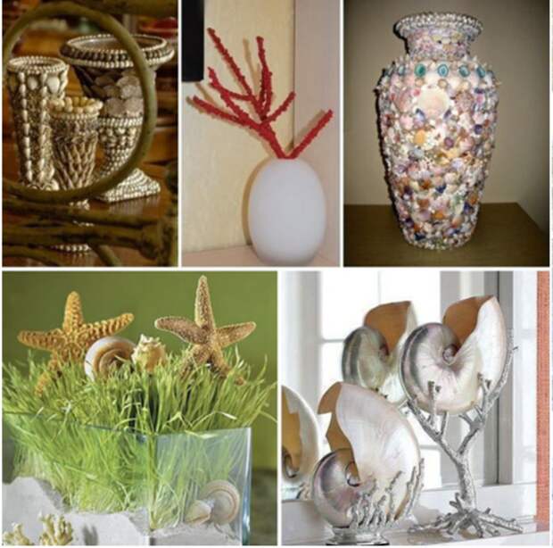 Ракушки морские: как стильно украсить комнаты и предметы интерьера (60 фото)