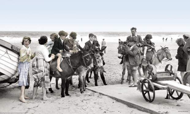 Катание на ослах на пляже в Мейблторпе, Линкольншир, 1950 г. архивные снимки, архивные фотографии, великобритания, коллекция фото, новатор, фотограф, фотография