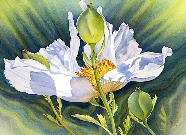 картина художника Марни Вард (Marney Ward) – 07 художник Marney Ward (Марни Вард) картины – 07