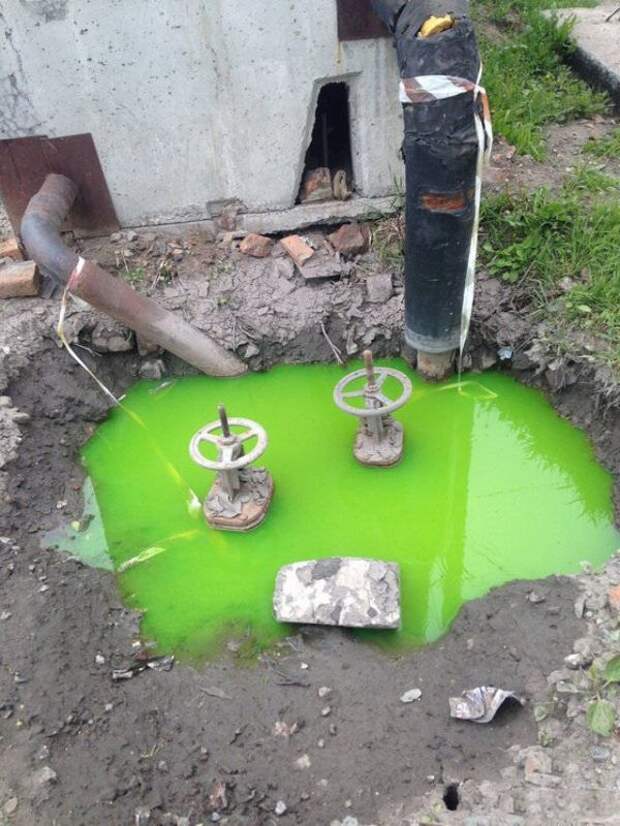 Наша Раша