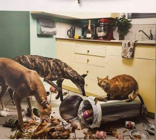 На кухне