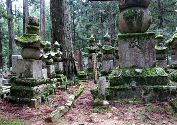Самое большое кладбище Японии