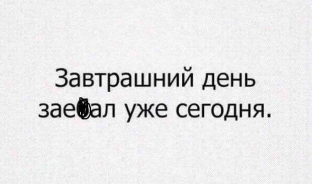 Смешные комментарии из социальных сетей комментарии, приколы, соцсети, юмор
