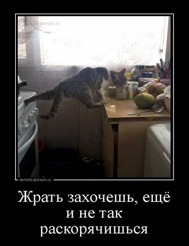 Жить Захочешь И Не Так Раскорячишься