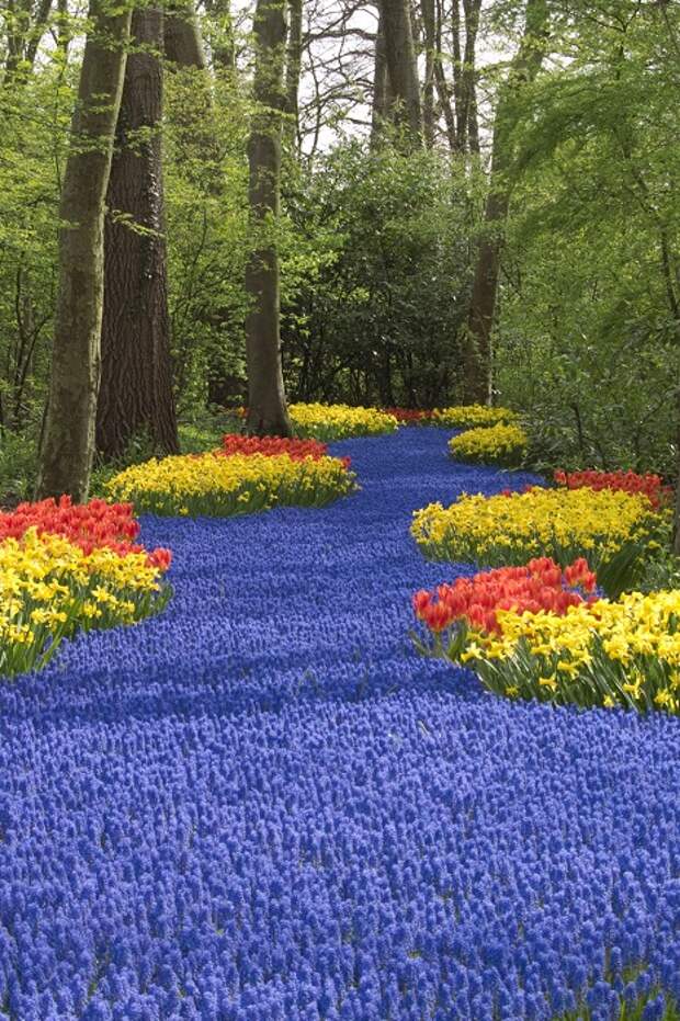 Королевский парк цветов – сад Европы.