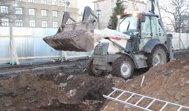 «Дерево Дружбы» начали устанавливать в Петрозаводске