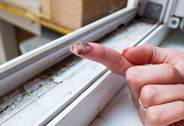 Чистые ли окна в подъезде вашего дома?  – новый опрос жителей Марьиной рощи