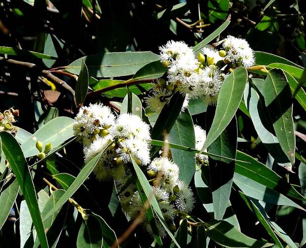 Во избежание иллюзий... :-)