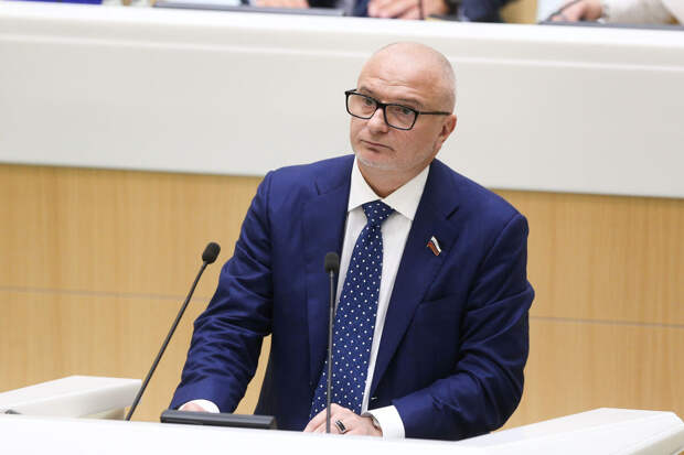 Сенатор Клишас: допускать детей к соцсетям должны их родители