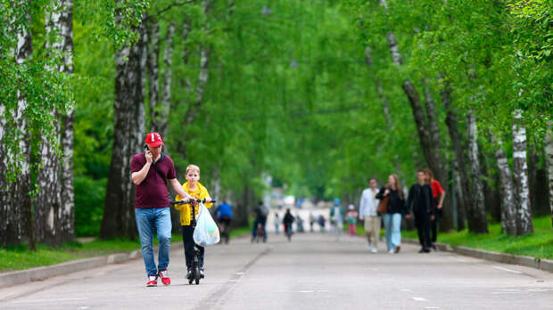 Снова похолодает: о погоде в Москве на следующей неделе рассказал синоптик