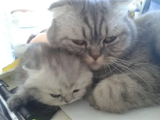 : 50      - 45 - BigPicture.ru