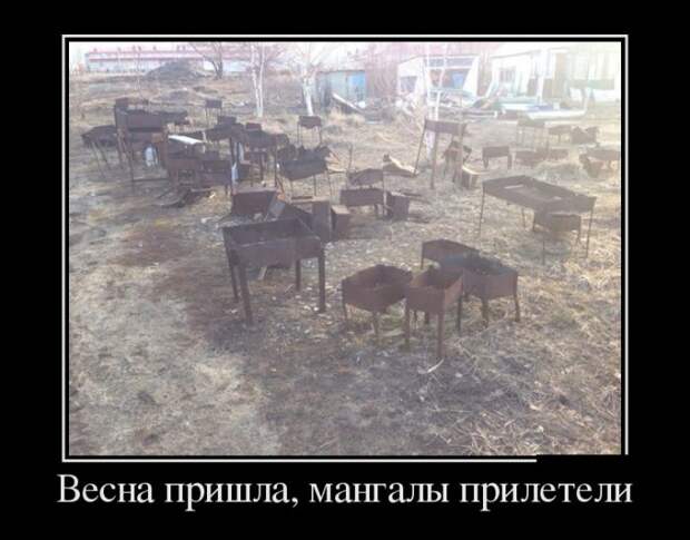 Демотиваторы Демотиваторы