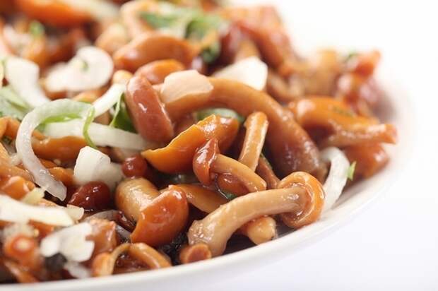 Картинки по запросу Салат с маринованными опятами