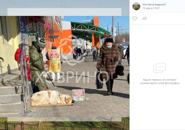 У «Водного стадиона» задержали попрошайку из лже-приюта для животных