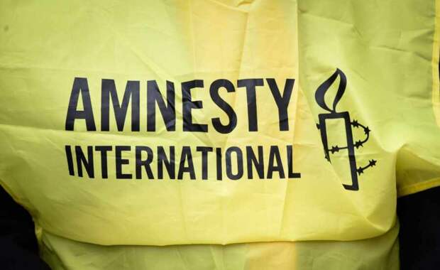 Что стоит за жестким наездом Украины на Amnesty International
