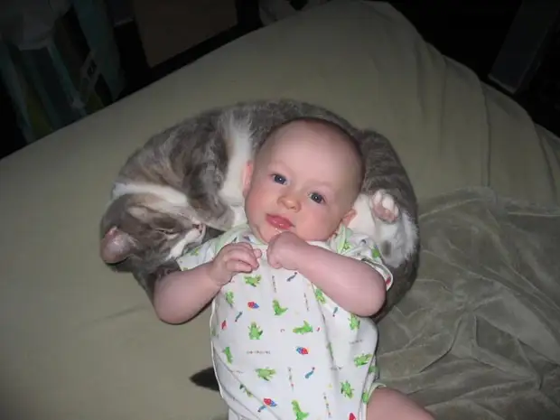 21 очаровательная фотография малышей в компании котов