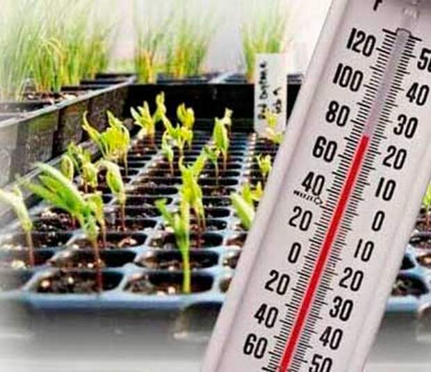 Температурный режим