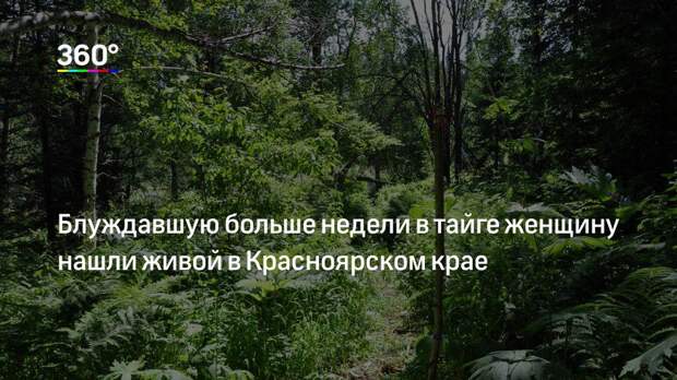 Блуждавшую больше недели в тайге женщину нашли живой в Красноярском крае
