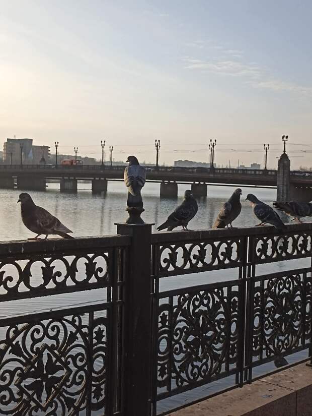 Добрый вечер