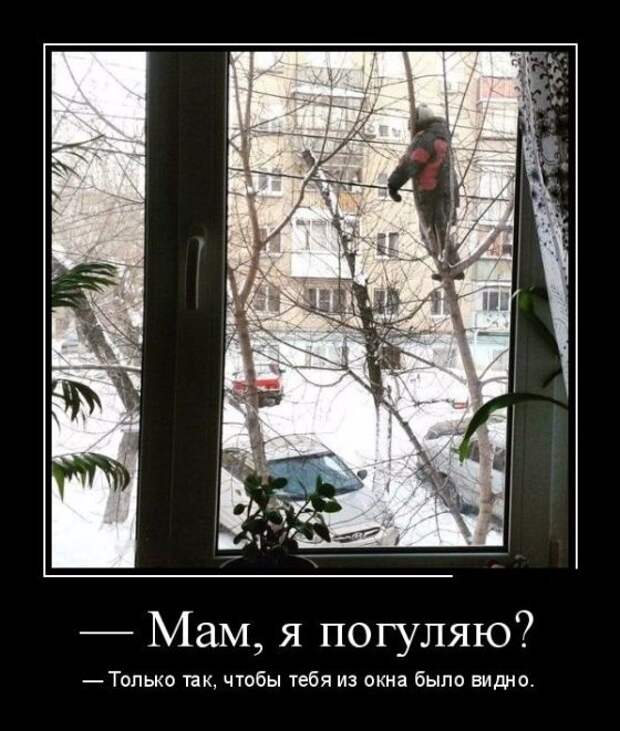 Демотиваторы