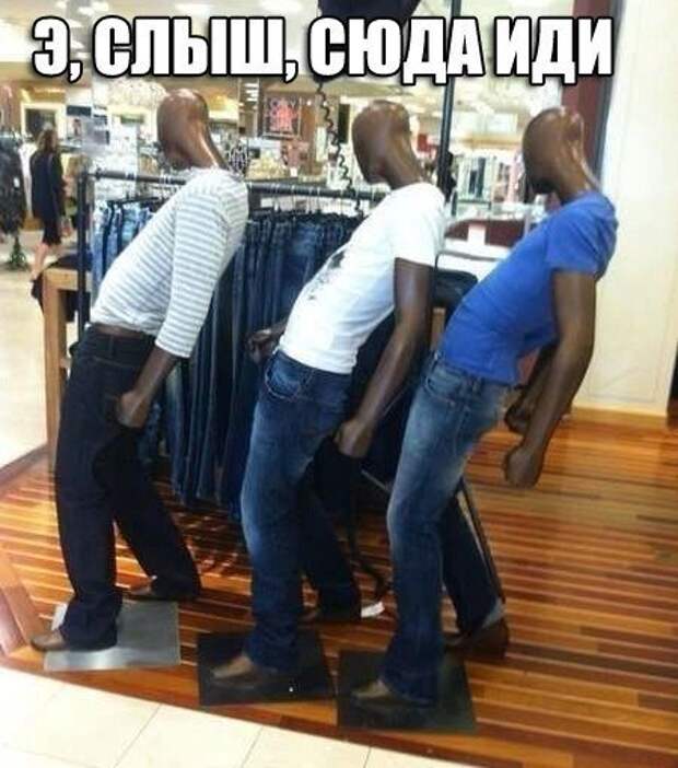 Новые фотомемы для хорошего настроения (27 шт)